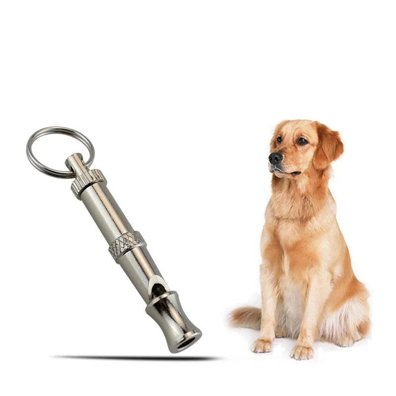A stainless steel adjustable ultrasonic dog training whistle with a metal loop and a pointed tip.