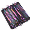 A set of professional stainless steel pet grooming scissors with colorful handles and a black protective case.