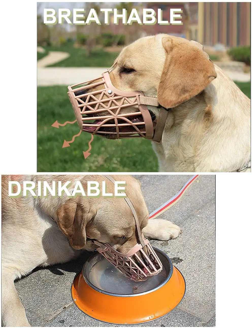 A dog wearing a breathable muzzle and another dog drinking from a drinkable muzzle.