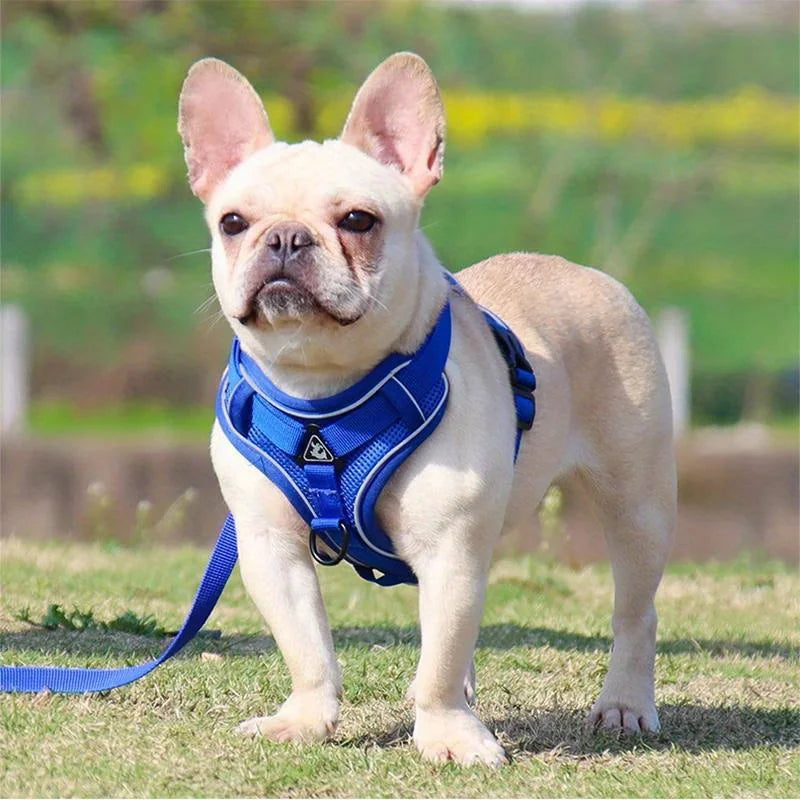 Adjustable No-Pull Dog Harness with Reflective Leash Set