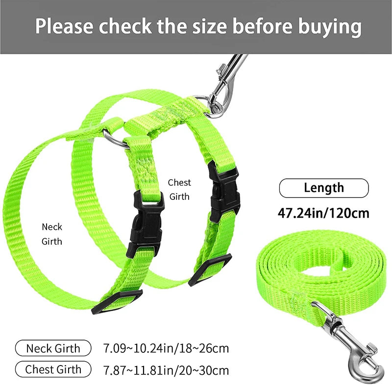 Adjustable Nylon Harness and Leash Set for Small Pets