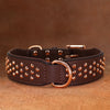 A brown leather dog collar with a brass buckle and metal spikes is displayed on a wooden surface.