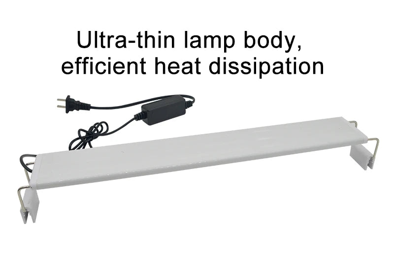 Lampe LED à clipser pour aquarium : poissons et plantes