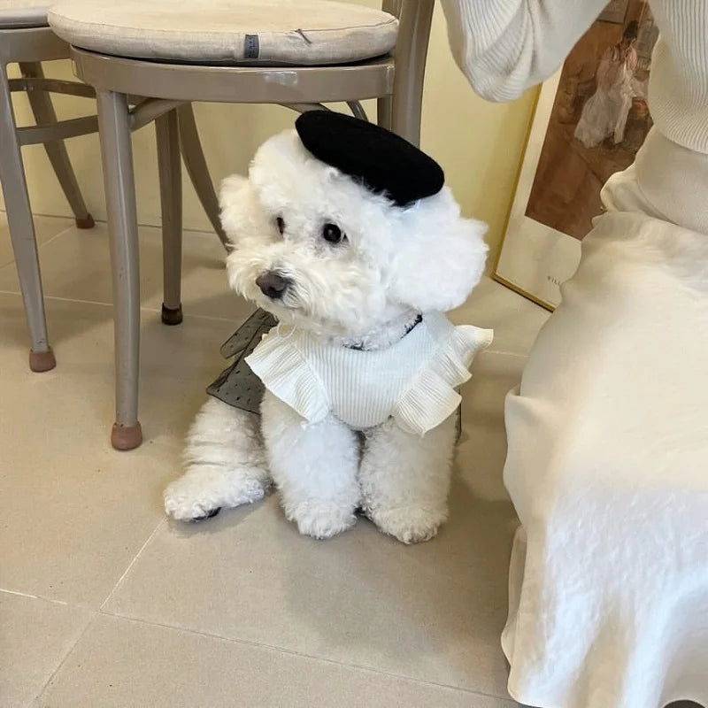 Elegant Lace Bow Dog Dress for Small Breeds