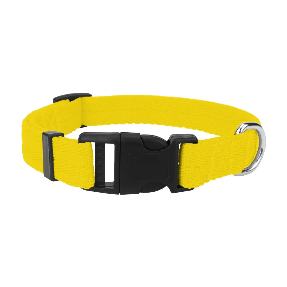 Yellow nylon dog collar with a black quick-release buckle.