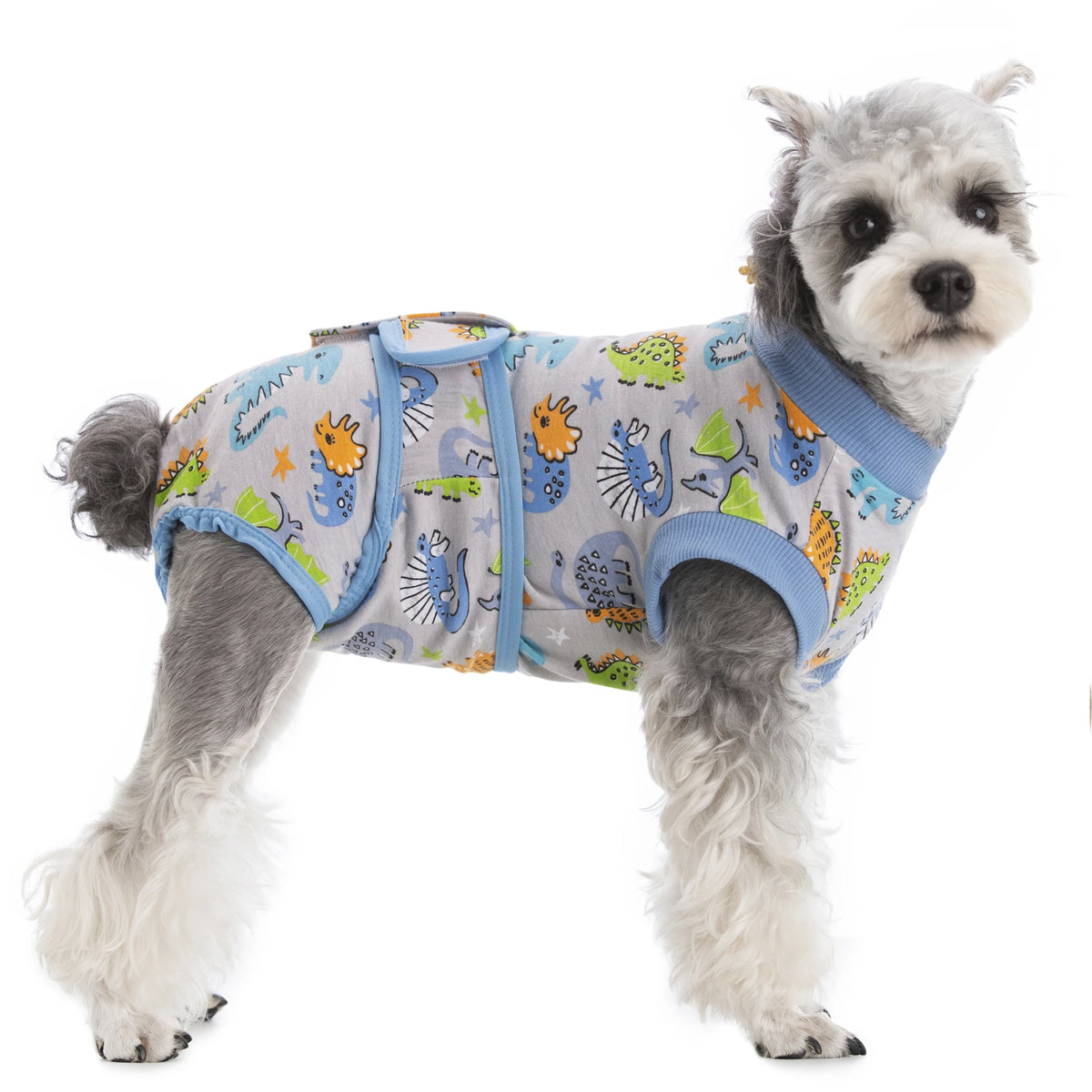 A small, fluffy dog wearing a light blue and yellow patterned pet recovery suit.