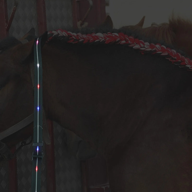 Arnés de pecho con LED para caballos: Seguridad en paseos nocturnos