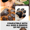 Close-up of a wooden-handle dog nail file with reusable sandpaper pads shown alongside various pet nails.