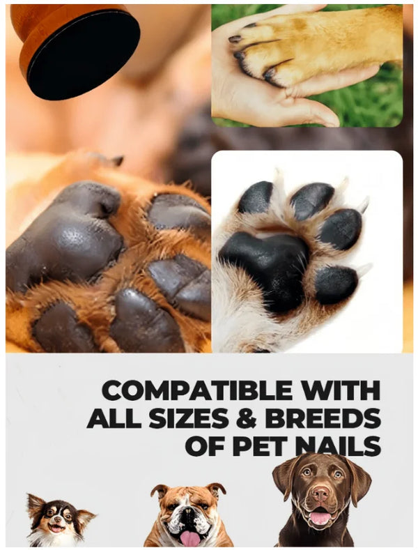 Close-up of a wooden-handle dog nail file with reusable sandpaper pads shown alongside various pet nails.