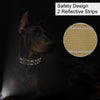 Taktisches Nylon-Hundehalsband mit Griff
