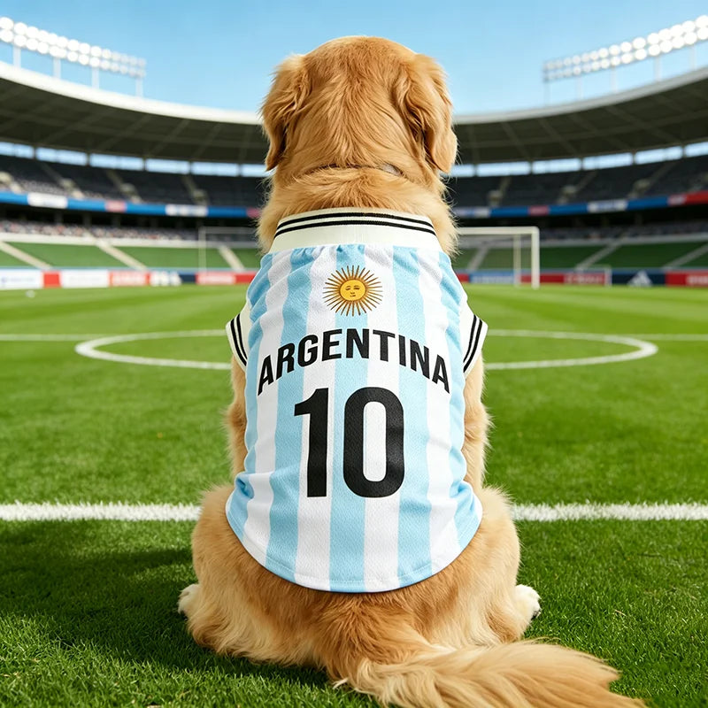 A golden dog wearing an Argentina football jersey with the number 10 sitting on a green field.