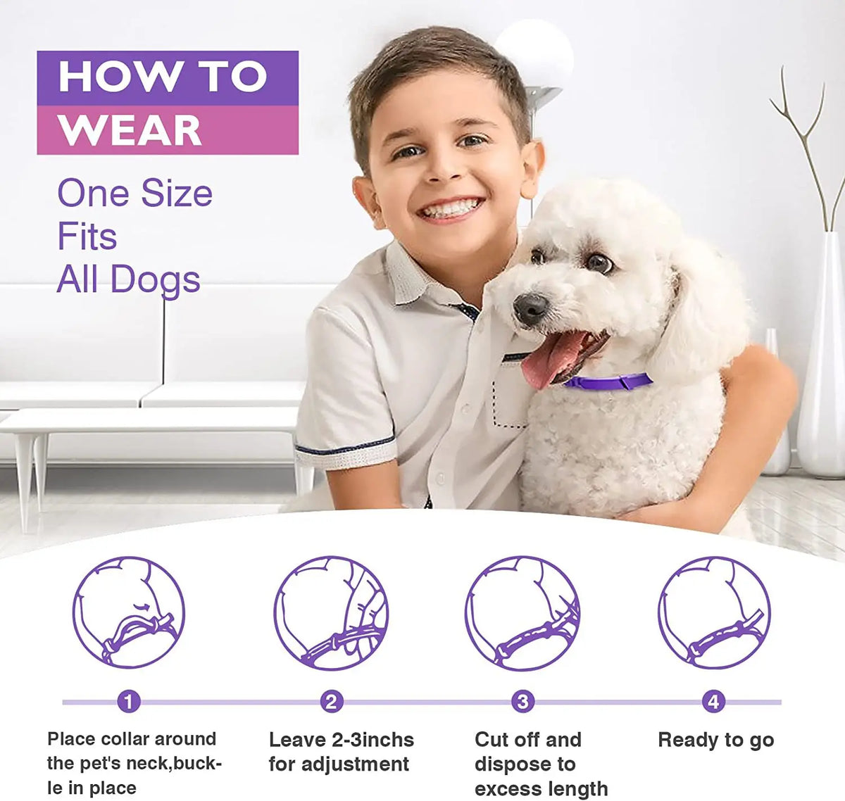 Un niño demuestra cómo ponerse un collar para mascota, con diagramas que ilustran la colocación y ajuste del collar