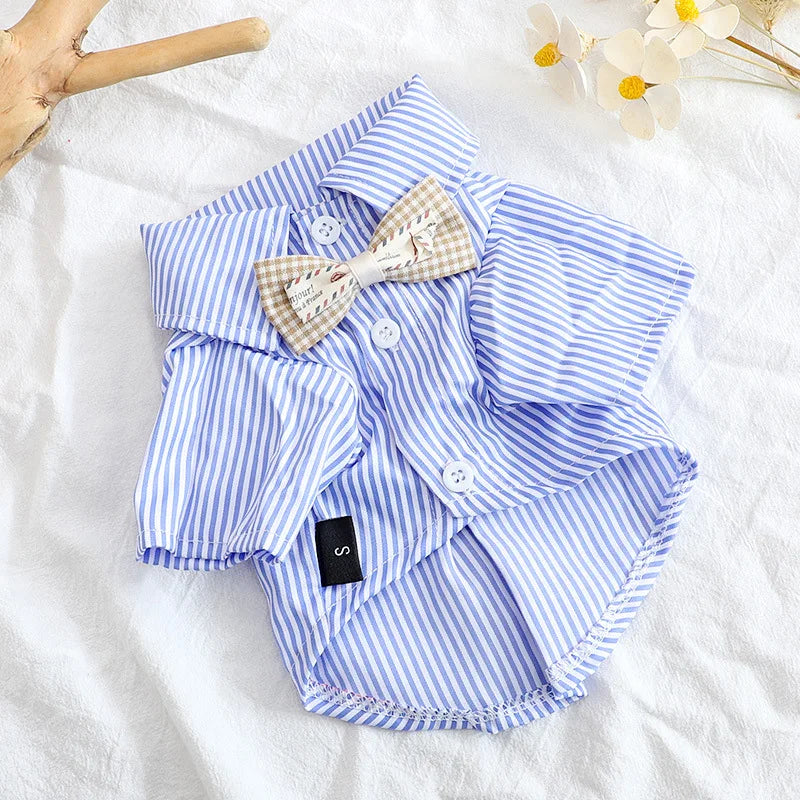 A light blue and white striped pet shirt with a bowknot detail is laid flat on a white surface.