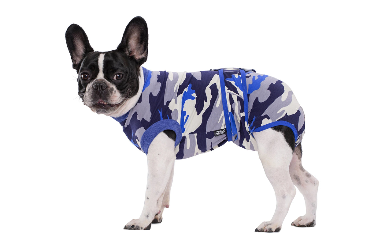 A black and white dog wearing a blue and gray camouflage pet recovery suit.