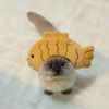 Adorable Knit Bear Hat for Cats and Dogs