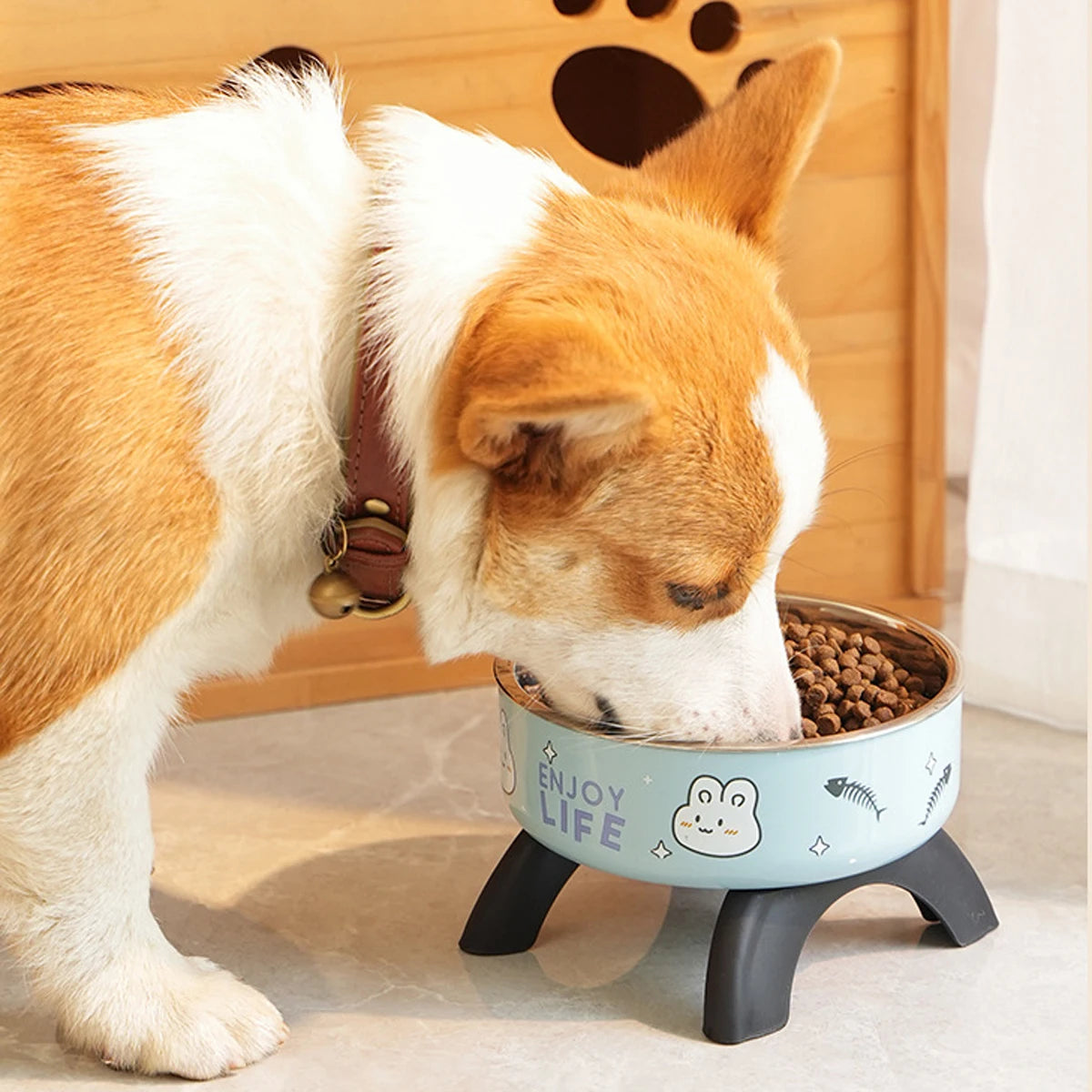 An orange and white dog is looking into an elevated stainless steel pet food bowl with a stand.