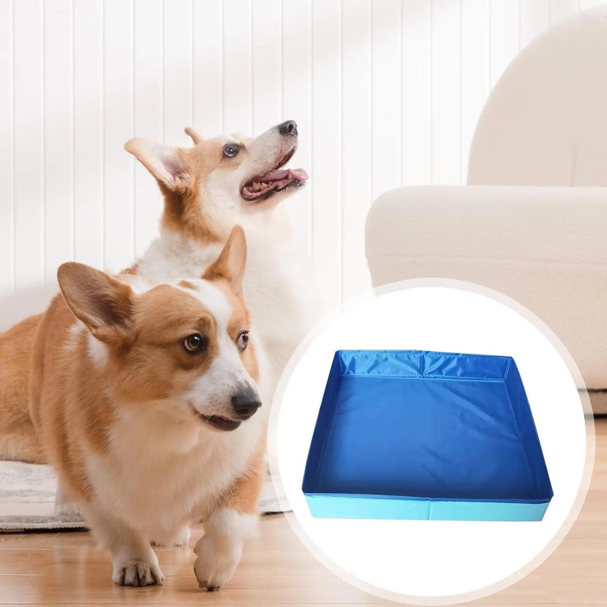 Foldable Dog Wading Pool for Small Pets with Non-Slip Base