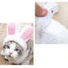 Adorable Pet Hat for Cats and Small Dogs
