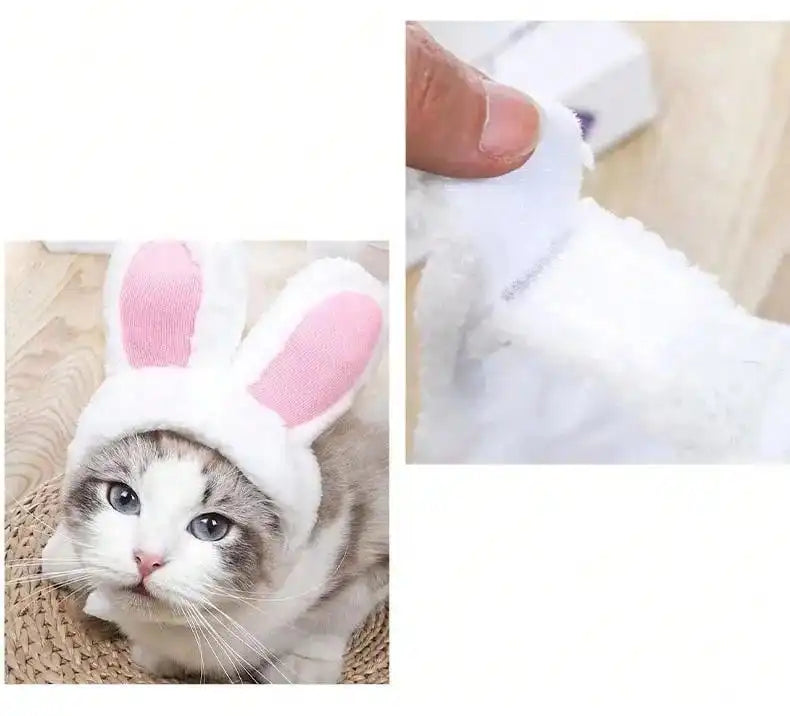 Adorable Pet Hat for Cats and Small Dogs