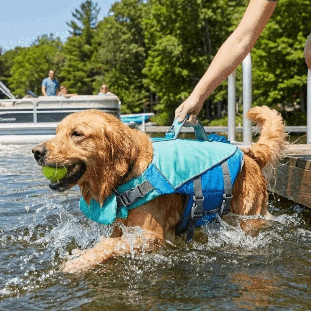 Adjustable Dog Life Jacket with Reflective Stripes