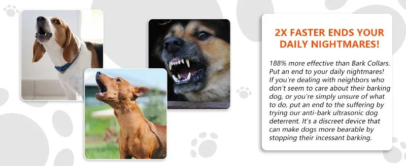 Images de chiens et un gros plan sur le visage d'un chien, illustrant l'utilisation d'un dissuasif à ultrasons.