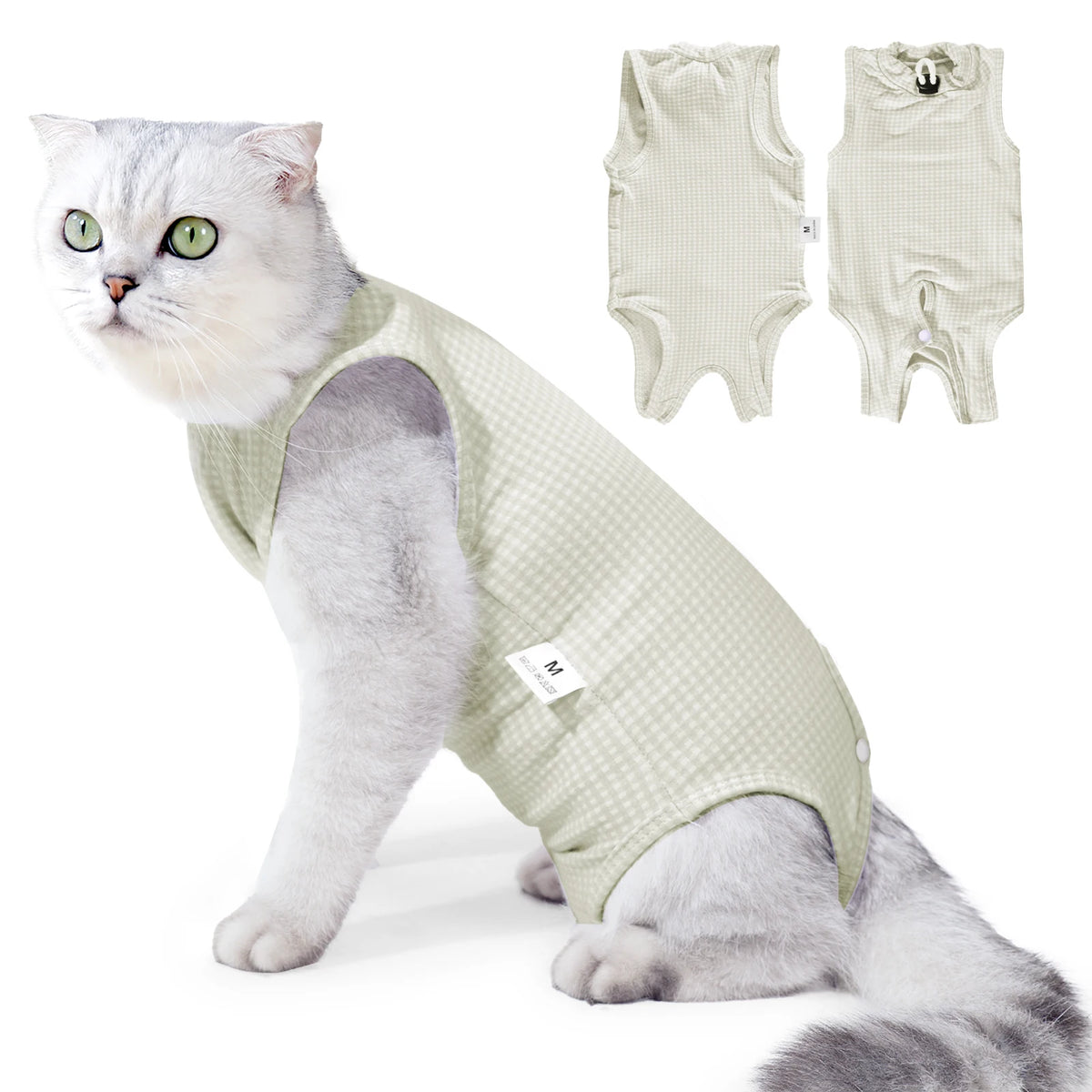 A fluffy gray and white cat wearing a light green professional recovery suit.
