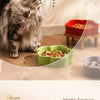 Ceramic Slow Feeder Bowl for Cats and Small Dogs