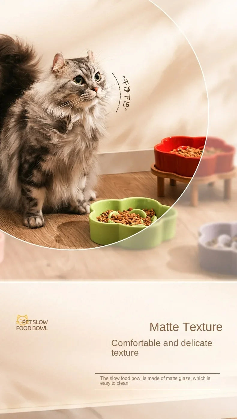 Ceramic Slow Feeder Bowl for Cats and Small Dogs
