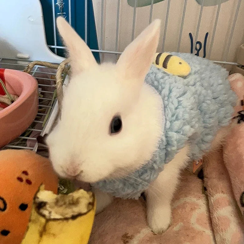 Cozy Corduroy Pullover Sweater for Small Pets