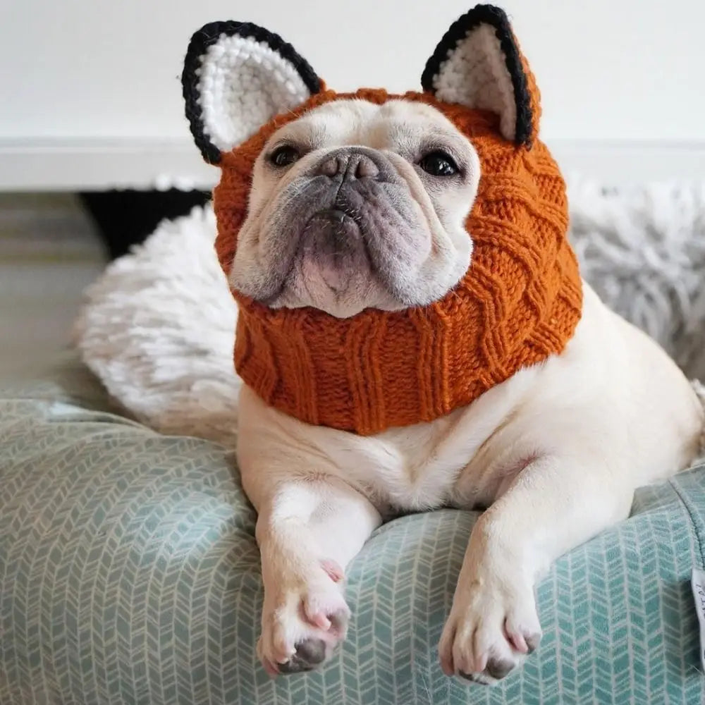 Ein helles Hundekleid trägt eine orange gestrickte Ohrenpolster mit schwarzem Rand und ruht auf grünem Stoff.