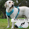 A light-colored dog wearing a teal harness with a solid metal ring for leash attachment.