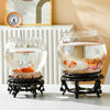 Bassin Transparent en PET pour Poisson Betta