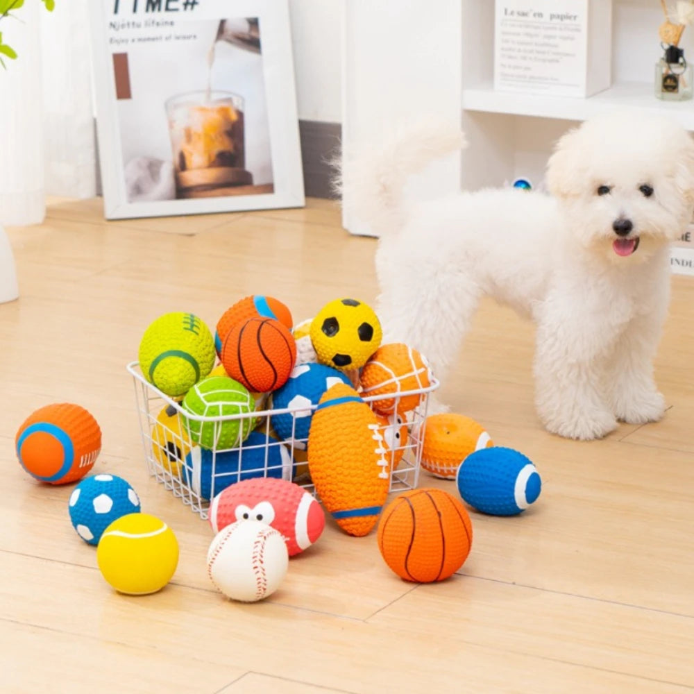 A white poodle sits next to a collection of colorful latex balls for dogs on a wooden floor.