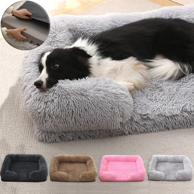 Cama de Plush Ortopédica para Perros con Borde