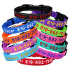 Personalisierte bestickte Nylon-Hundehalsband