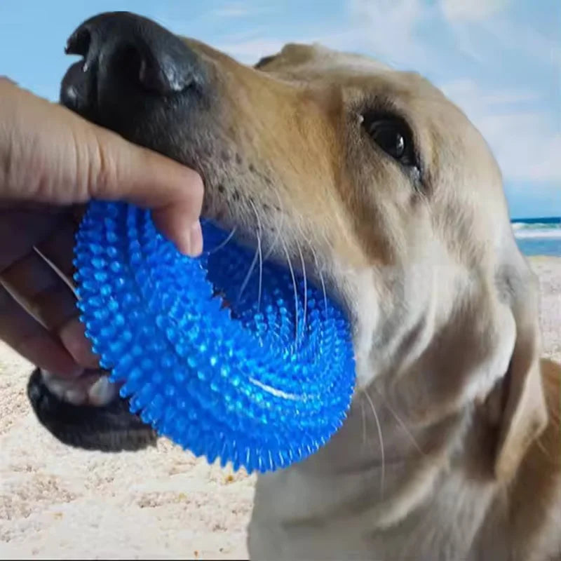 Bite-Resistant Squeaky Dog Chew Toy with Spiky Teething Ring