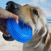 Bite-Resistant Squeaky Dog Chew Toy with Spiky Teething Ring