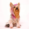 Pet Hair Bows with Rubber Bands - Assorted Styles for Small Dogs and Cats