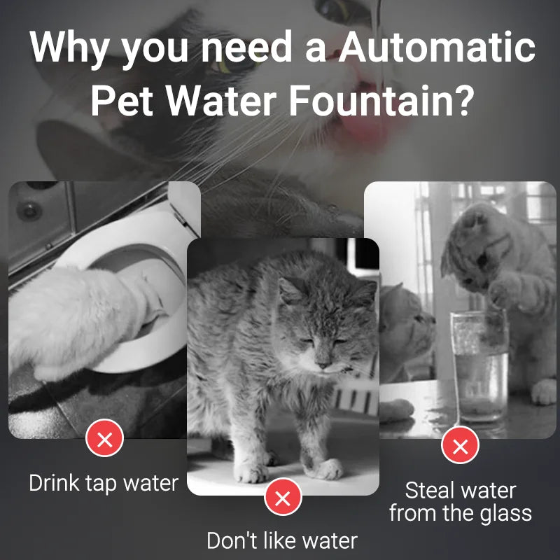 Fontaine à eau pour animaux avec deux modes de débit