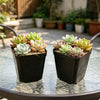 Mini Square Plastic Plant Pots with Drainage Holes for Seed Starting