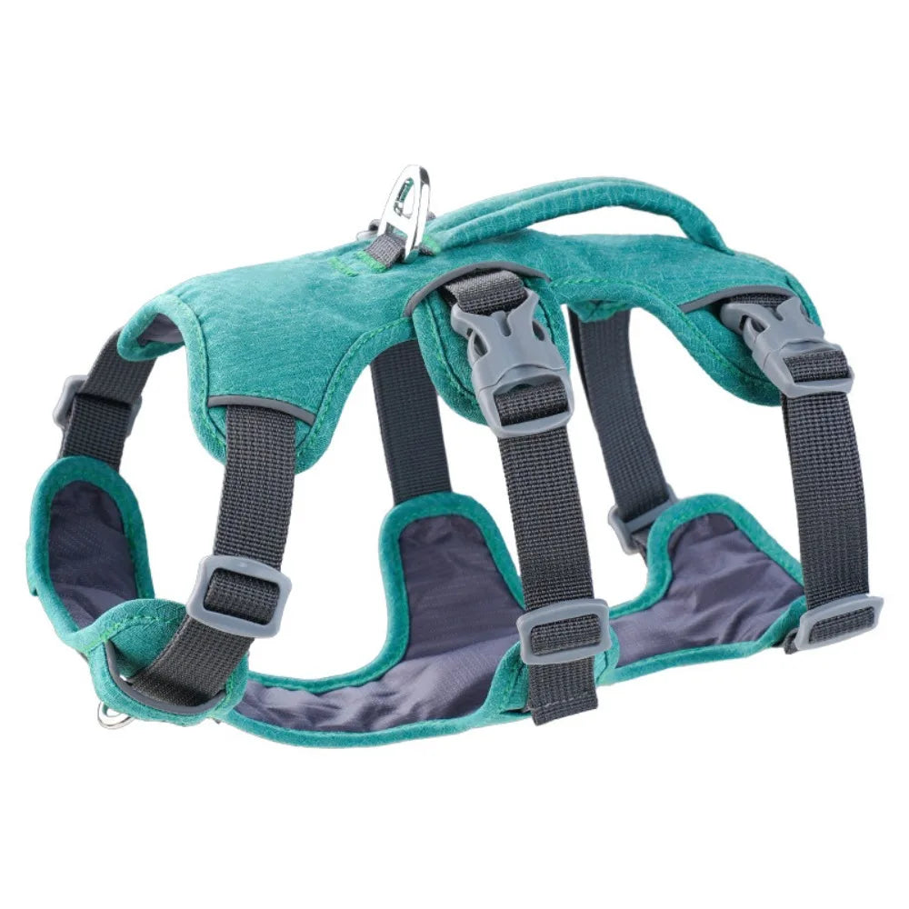 A teal padded dog harness with a gray control handle and straps.
