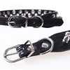 Punk Rivet Spiked Leather Dog Collar