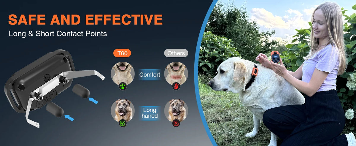 A woman is holding a dog with a remote training collar, demonstrating the safe and effective long and short contact points.