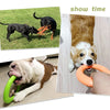 Schwimmender EVA-Hundewurfring