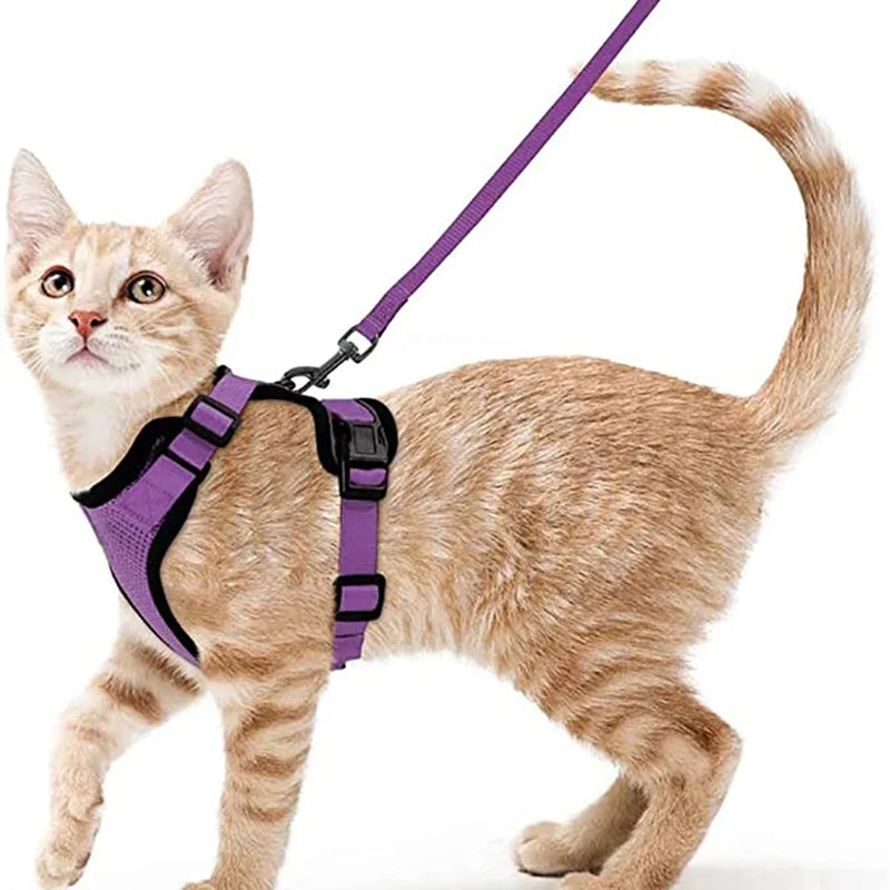 Ausbruchssicherer Katzengeschirr mit Leine