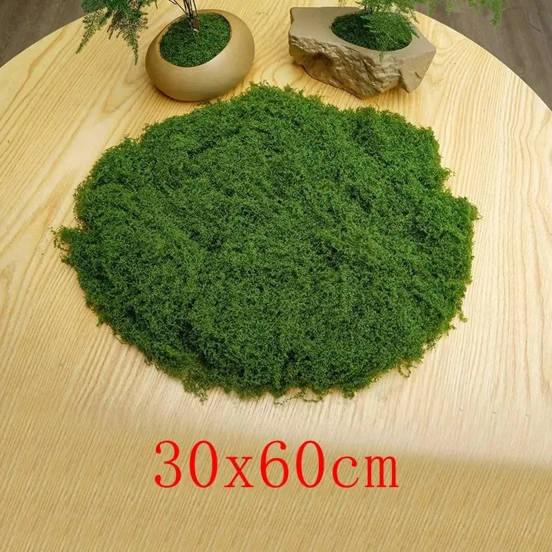 Natural Green Preserved Moss for DIY Crafts and Decor