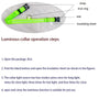 LED-Sicherheits-Hundeleine und Halsband-Set