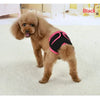 Reusable Dog Diapers for Heat Cycles and Incontinence