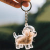 Clé USB en silicone transparente avec une petite figurine de chien aux poils châtains.