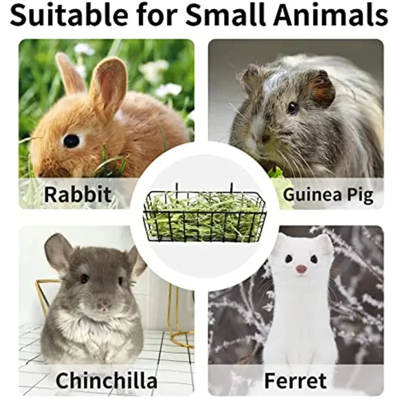 Eine Sammlung kleiner Tiere, darunter ein Kaninchen, ein Guinea-Pig, ein Chinchilla und ein Ferret, geeignet für die Verwendu